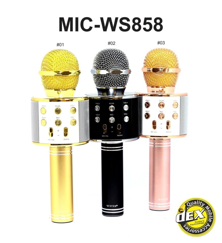Bezprzewodowy mikrofon karaoke WS858