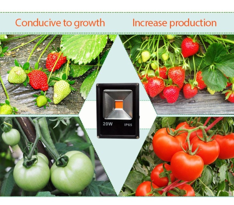 Halogen GROW 20W led do uprawy roślin full spectrum COB