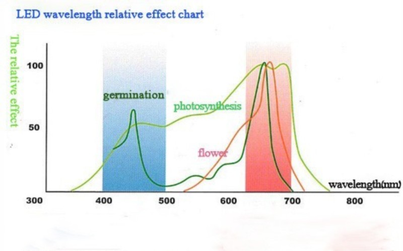 Halogen GROW 20W led do uprawy roślin full spectrum COB